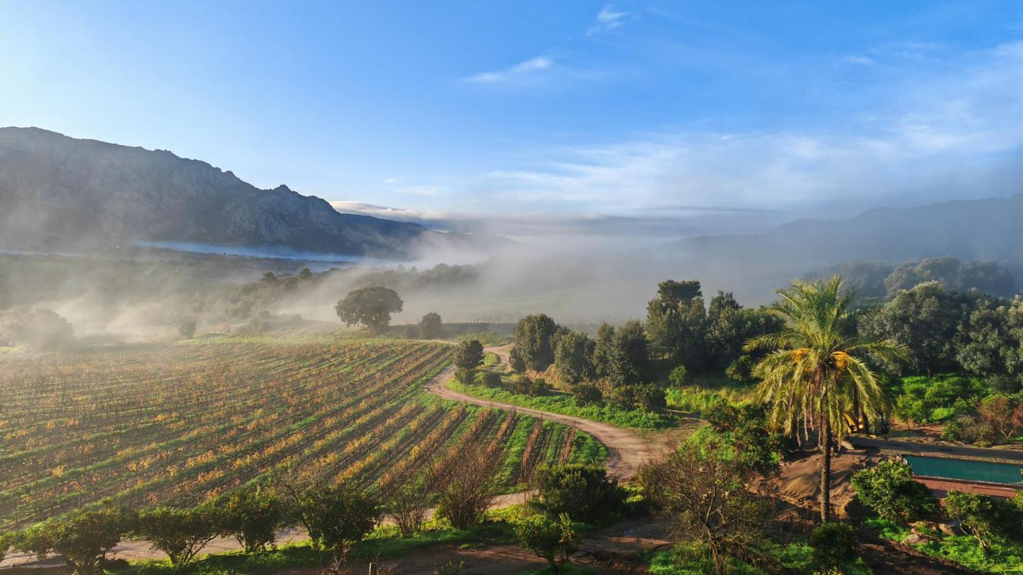 Le Hameau De Saparale Sartène Dış mekan fotoğraf