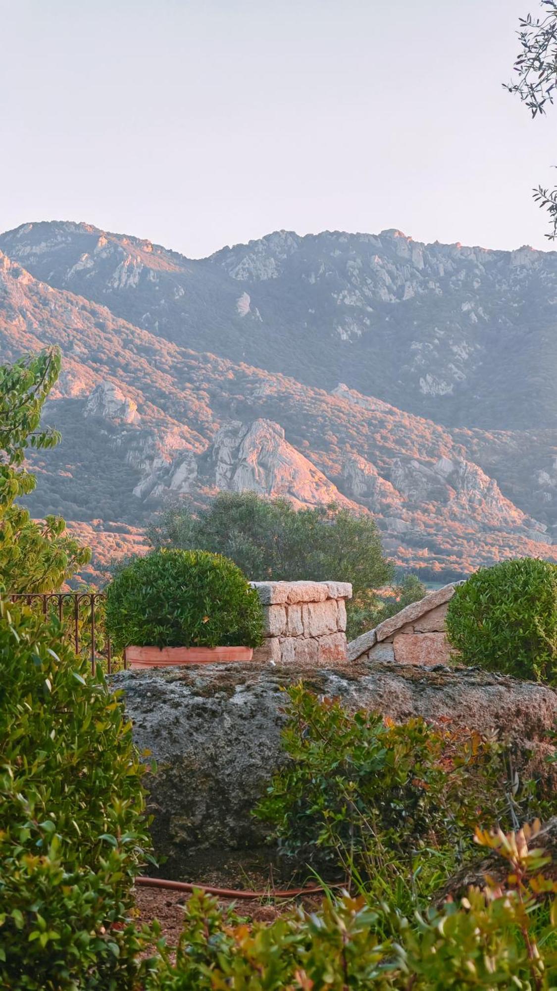 Le Hameau De Saparale Sartène Dış mekan fotoğraf